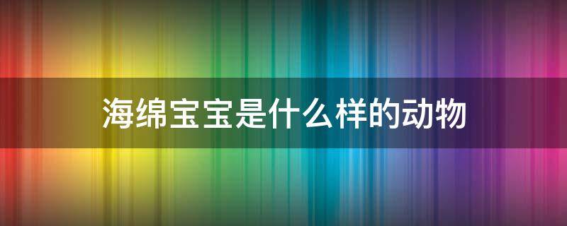 海绵宝宝是什么样的动物（海绵宝宝是一种怎样的动物）