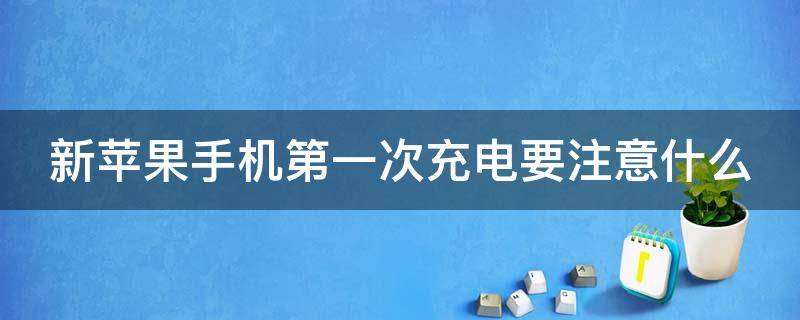 新苹果手机第一次充电要注意什么 新苹果手机第一次充电要注意什么呢