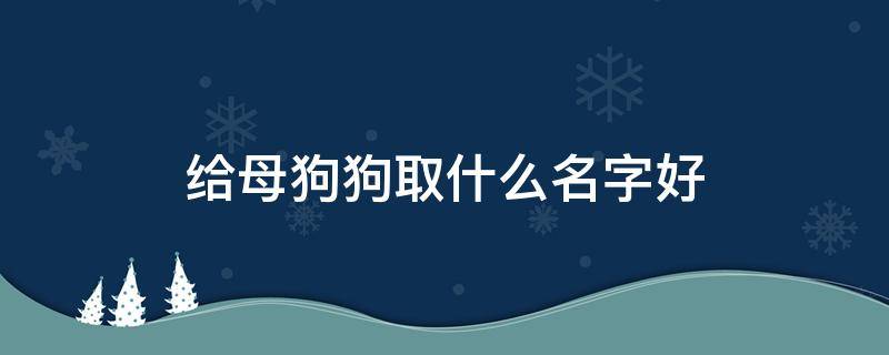 给母狗狗取什么名字好（母狗适合取什么名字）