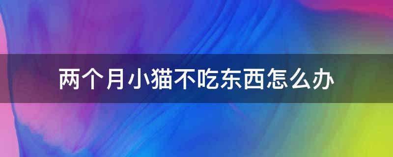 两个月小猫不吃东西怎么办 两个月的猫猫不怎么吃东西怎么办