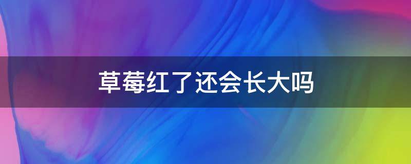 草莓红了还会长大吗 草莓红了以后还会长大吗