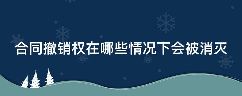 合同撤销权在哪些情况下会被消灭（合同撤销权在哪些情况下会被消灭掉）