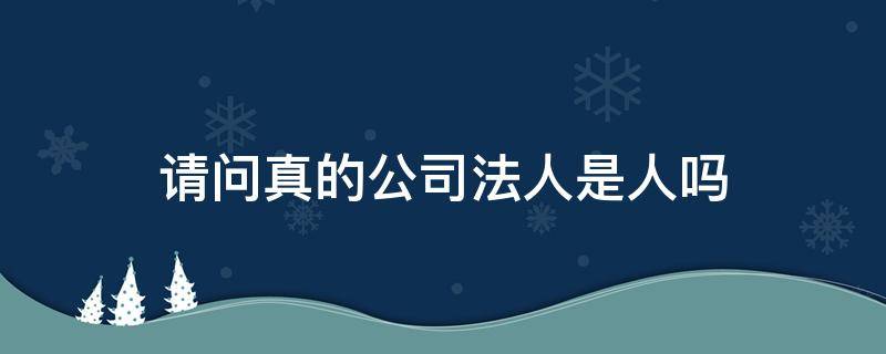 请问真的公司法人是人吗 公司都是法人吗