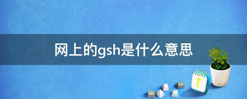 网上的gsh是什么意思（GSH是指）