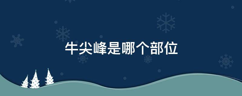 牛尖峰是哪个部位（牛峰是牛的哪个部位）