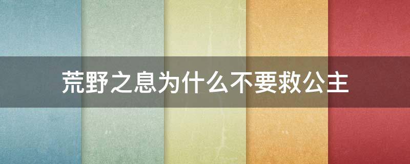 荒野之息为什么不要救公主（塞尔达荒野之息救完公主后怎么样）