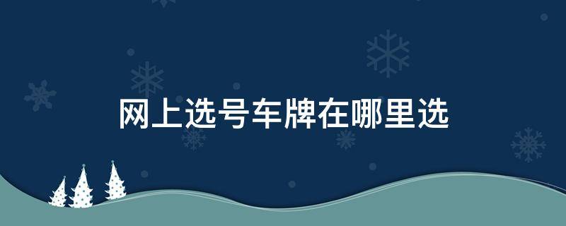 网上选号车牌在哪里选（网上选车牌号在哪里选?）