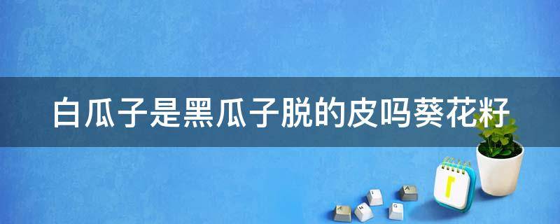 白瓜子是黑瓜子脱的皮吗葵花籽 白瓜子是黑瓜子脱的皮吗葵花籽还能吃吗