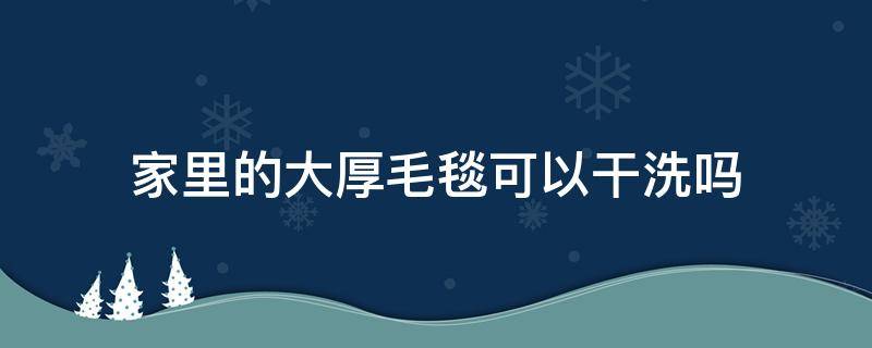 家里的大厚毛毯可以干洗吗 厚毛毯能洗吗