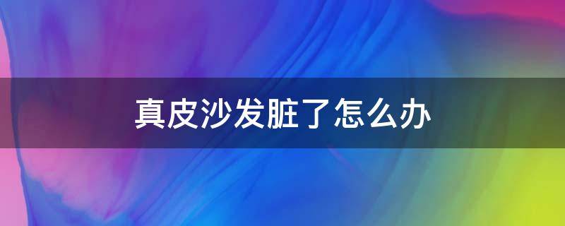 真皮沙发脏了怎么办 皮质沙发脏了怎么办