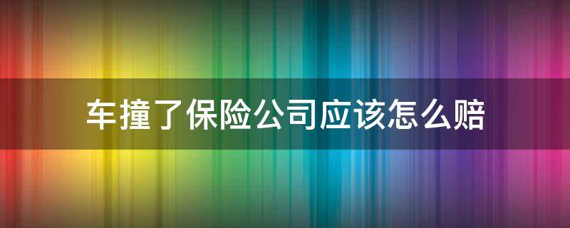 车撞了保险公司应该怎么赔 车子撞了车保险公司怎么赔