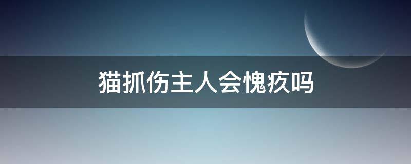 猫抓伤主人会愧疚吗 猫抓伤主人猫自己知不知道