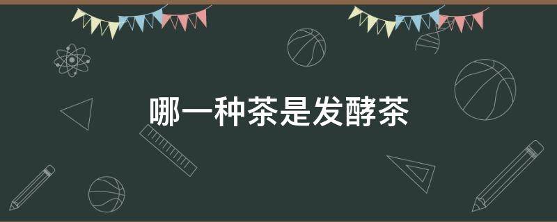 哪一种茶是发酵茶 哪几种茶是发酵茶