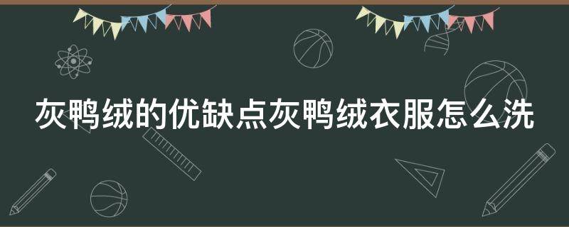 灰鸭绒的优缺点灰鸭绒衣服怎么洗 灰鸭绒是什么意思