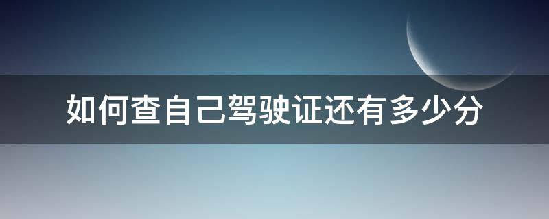 如何查自己驾驶证还有多少分 怎么查自己驾驶证有多少分