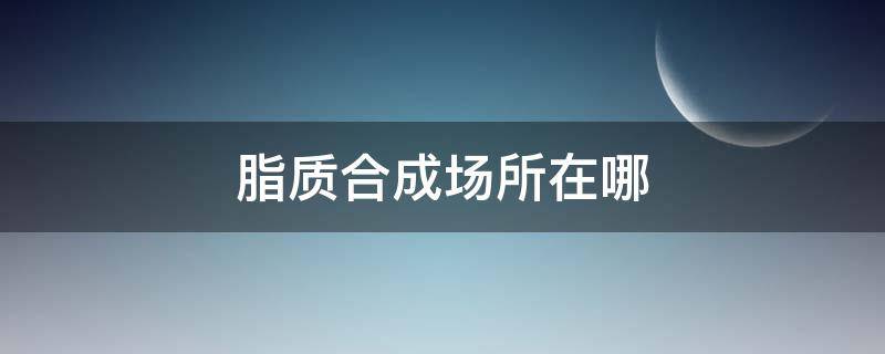 脂质合成场所在哪（脂质合成车间在哪）