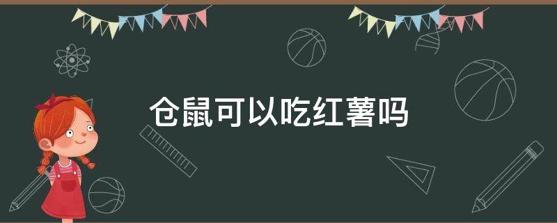 仓鼠可以吃红薯吗 红薯可以给仓鼠吃吗