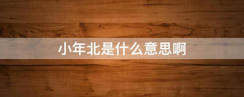 小年北是什么意思啊 小年北是啥意思啊