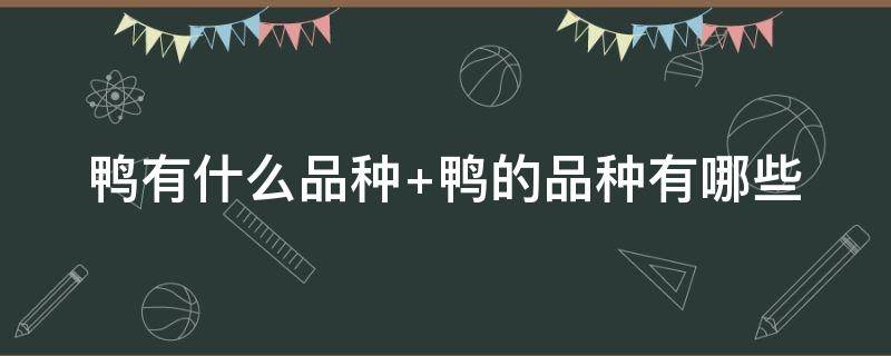 鸭有什么品种 鸭有什么品种图片