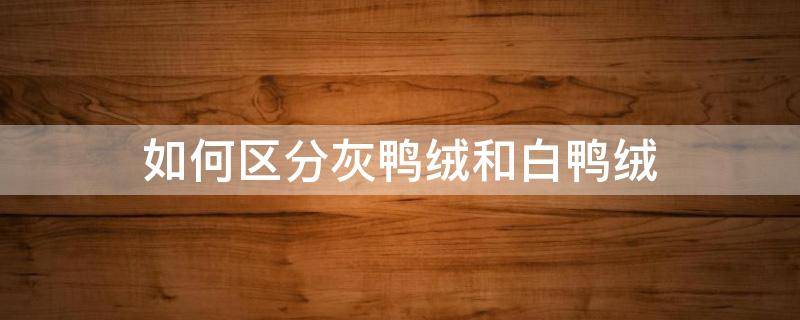 如何区分灰鸭绒和白鸭绒（白鸭绒和灰鸭绒的区别在哪里）