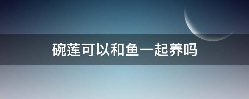 碗莲可以和鱼一起养吗（碗莲可以和观赏鱼一起养吗）