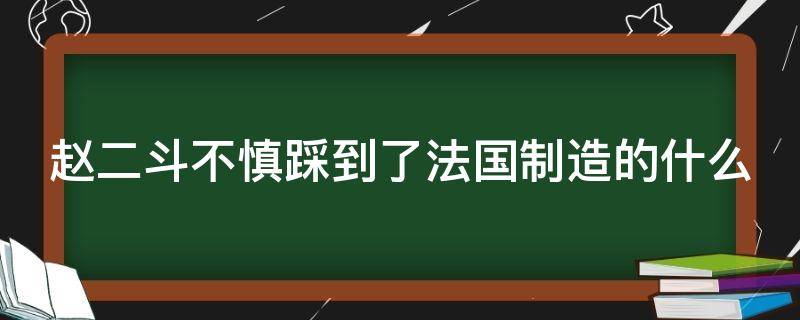 赵二斗不慎踩到了法国制造的什么（赵二斗不慎踩到了法国制造的什么东西）