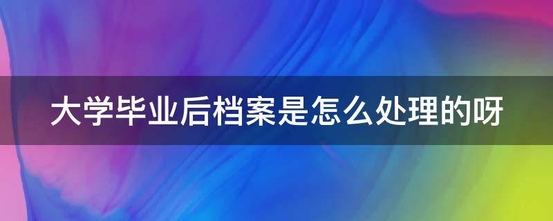 大学毕业后档案是怎么处理的呀 大学毕业后档案怎么办