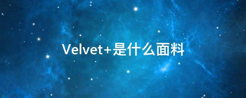 Velvet 是什么面料