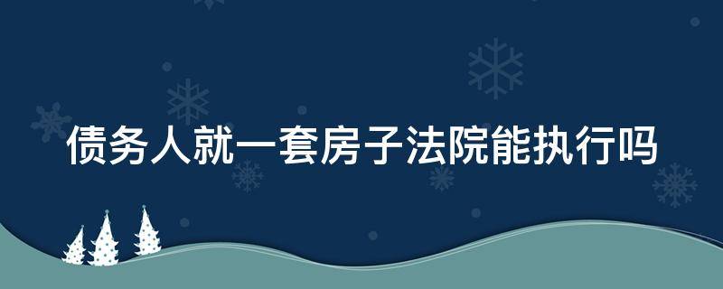 债务人就一套房子法院能执行吗（债务人就一套房子法院能执行吗怎么办）