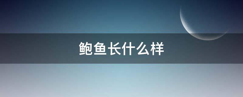 鲍鱼长什么样 鲍鱼长什么样子多少钱一只