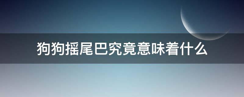 狗狗摇尾巴究竟意味着什么 狗狗摇尾巴是因为什么