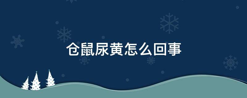 仓鼠尿黄怎么回事 仓鼠尿黄是怎么回事