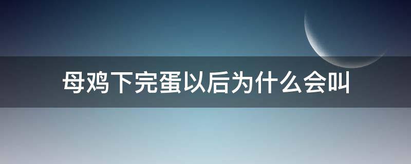 母鸡下完蛋以后为什么会叫（母鸡下蛋前叫还是下完叫）