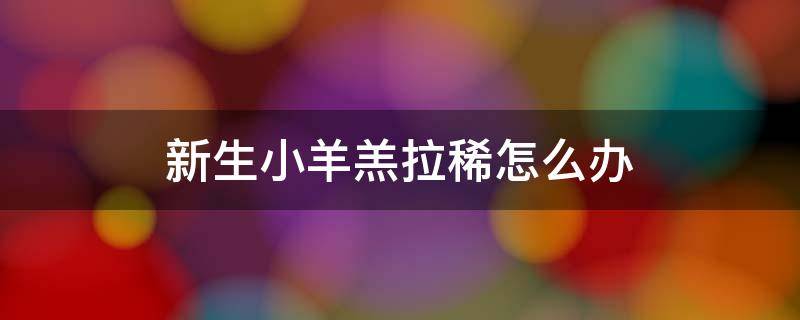 新生小羊羔拉稀怎么办 新生小羊羔拉稀怎么回事