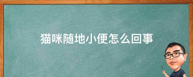 猫咪随地小便怎么回事（猫咪随地小便怎么回事还有血）