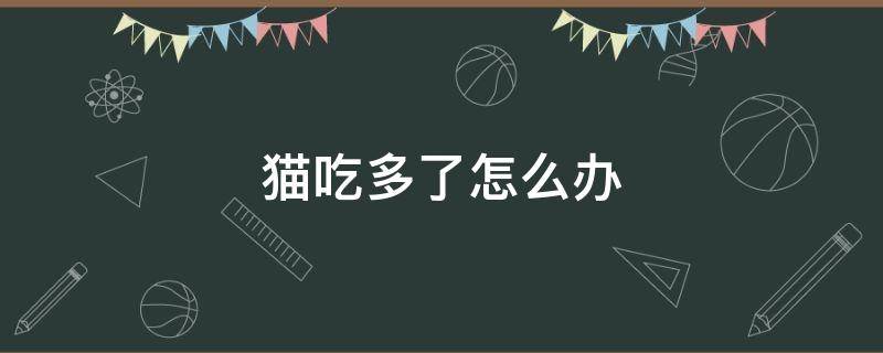 猫吃多了怎么办 刚出生的小猫吃多了怎么办