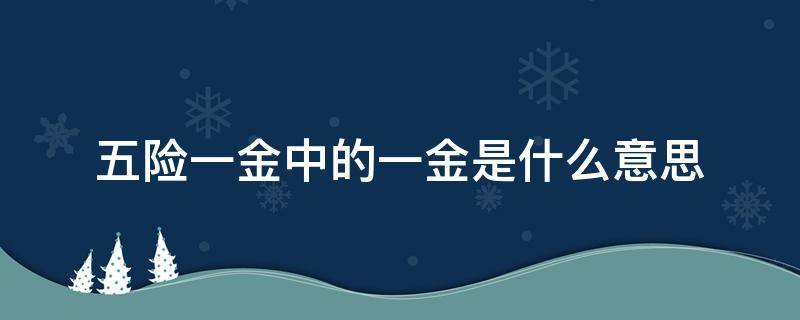 五险一金中的一金是什么意思（五险一金中的一金是啥）