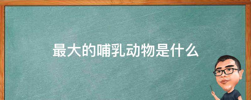 最大的哺乳动物是什么 最大的哺乳动物是什么?(小知识