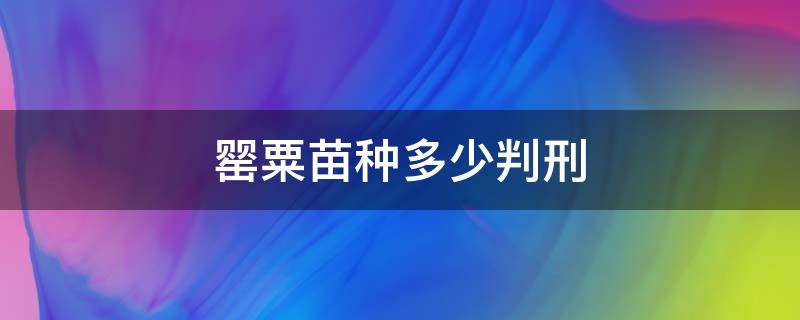 罂粟苗种多少判刑 罂粟苗种多少棵违法