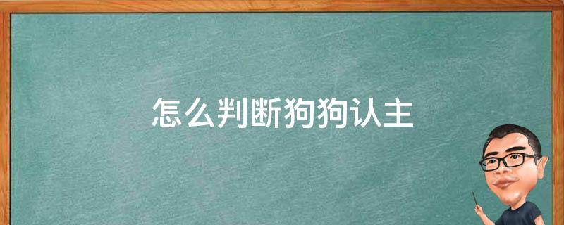 怎么判断狗狗认主（怎么看狗狗有没有认主）