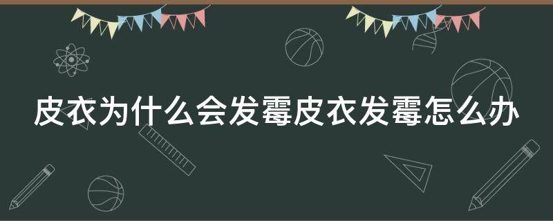 皮衣为什么会发霉皮衣发霉怎么办 皮衣总是发霉怎么回事?