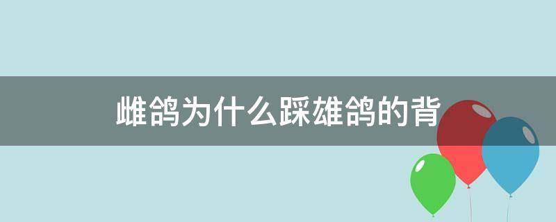 雌鸽为什么踩雄鸽的背（雌鸽踩雄鸽背是好鸽）