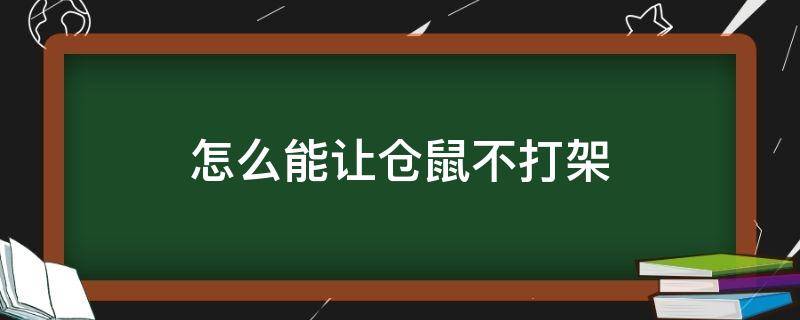 怎么能让仓鼠不打架 仓鼠怎么才能不打架