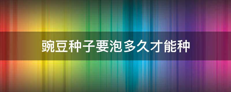 豌豆种子要泡多久才能种（豌豆种子多久发芽）