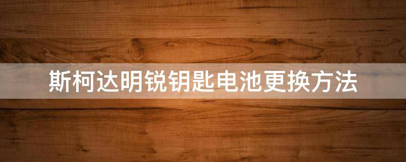 斯柯达明锐钥匙电池更换方法（斯柯达明锐钥匙电池更换方法21）