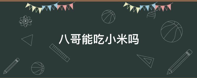 八哥能吃小米吗 八哥吃大米和小米行吗