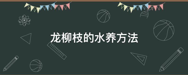 龙柳枝的水养方法（龙柳枝的水养方法水多好不好）