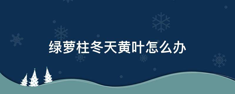 绿萝柱冬天黄叶怎么办 绿萝柱叶子发黄怎么补救