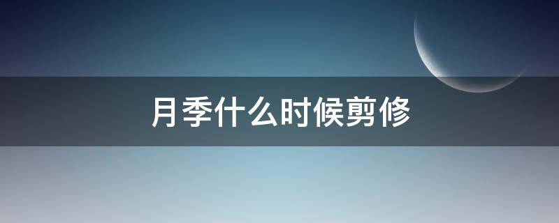 月季什么时候剪修（月季什么时候修剪?）