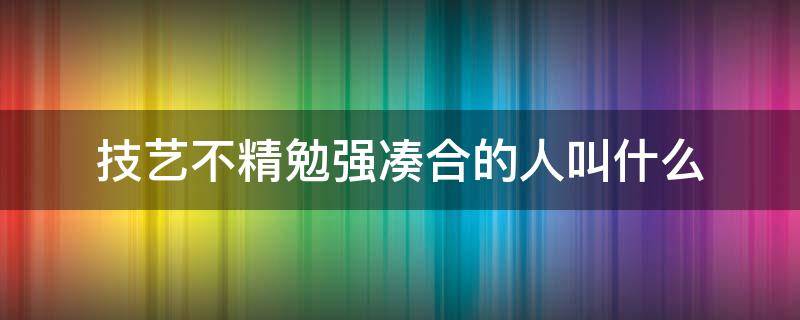 技艺不精勉强凑合的人叫什么（技艺不精湛勉强凑合的人）